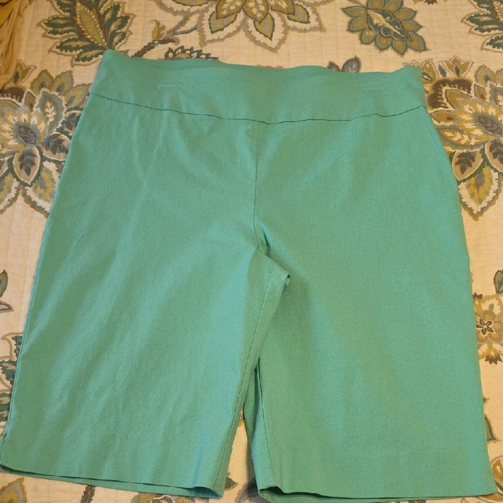 Ruby Rd. Mint Green Bike Shorts